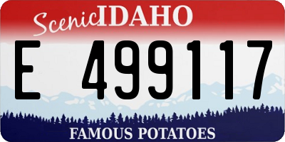 ID license plate E499117