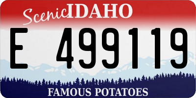 ID license plate E499119