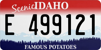 ID license plate E499121