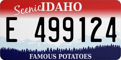 ID license plate E499124