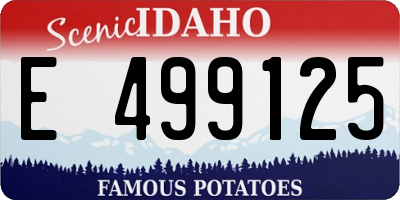 ID license plate E499125