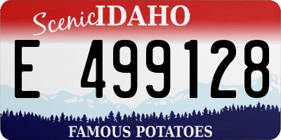 ID license plate E499128