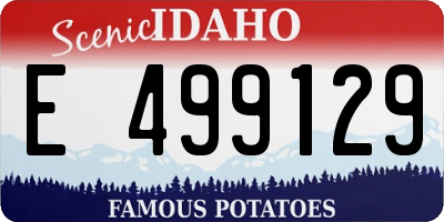 ID license plate E499129