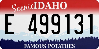 ID license plate E499131