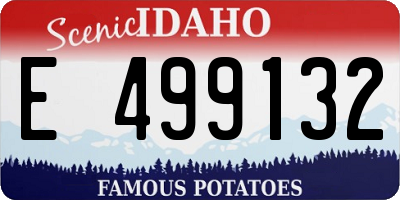 ID license plate E499132