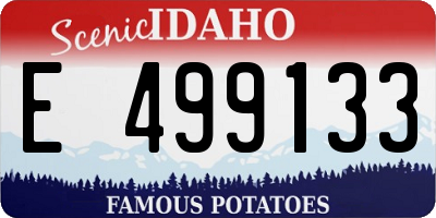 ID license plate E499133
