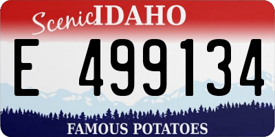 ID license plate E499134