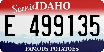 ID license plate E499135