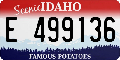 ID license plate E499136