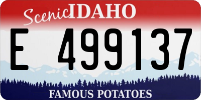 ID license plate E499137
