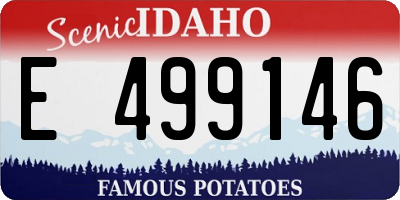 ID license plate E499146