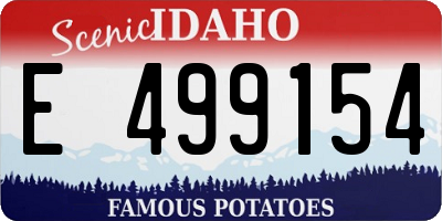 ID license plate E499154