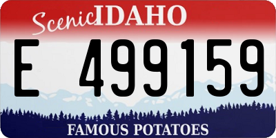 ID license plate E499159