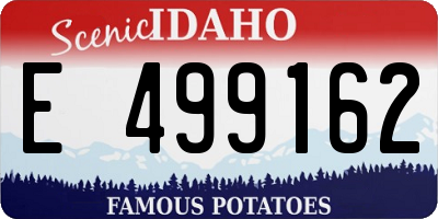 ID license plate E499162
