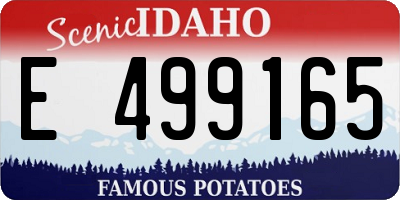 ID license plate E499165
