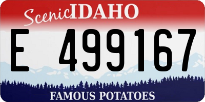 ID license plate E499167