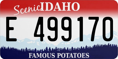 ID license plate E499170