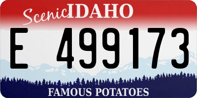 ID license plate E499173