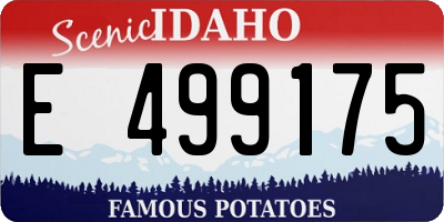 ID license plate E499175