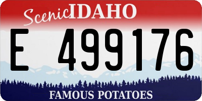 ID license plate E499176