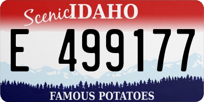 ID license plate E499177