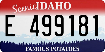 ID license plate E499181