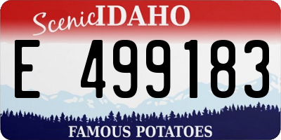 ID license plate E499183