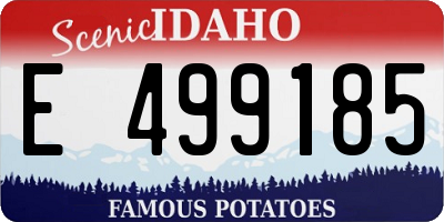 ID license plate E499185