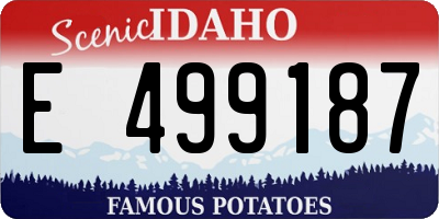 ID license plate E499187