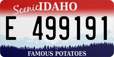 ID license plate E499191