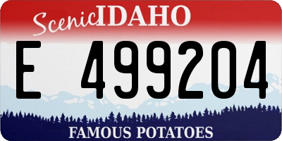 ID license plate E499204