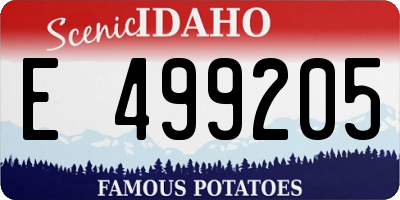 ID license plate E499205