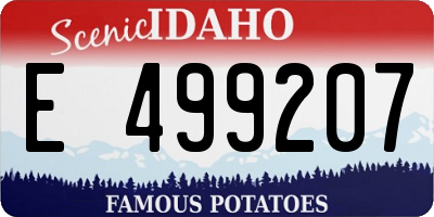 ID license plate E499207