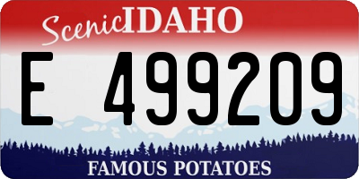 ID license plate E499209