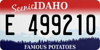 ID license plate E499210