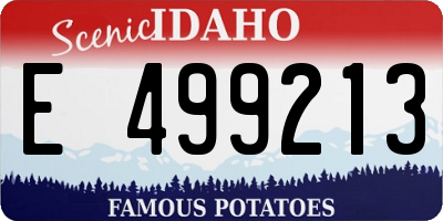 ID license plate E499213