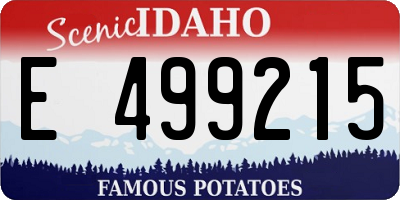 ID license plate E499215