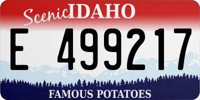 ID license plate E499217