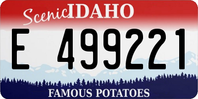 ID license plate E499221