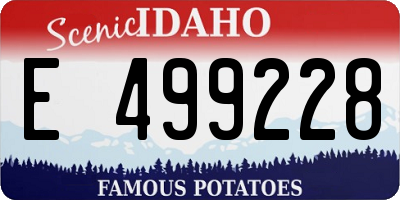 ID license plate E499228