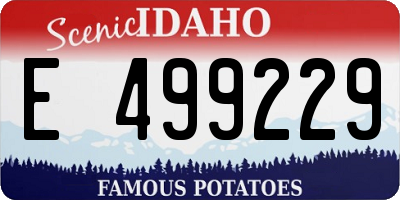 ID license plate E499229