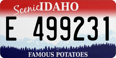 ID license plate E499231
