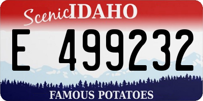 ID license plate E499232