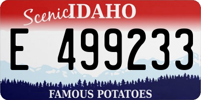 ID license plate E499233