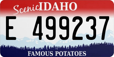 ID license plate E499237