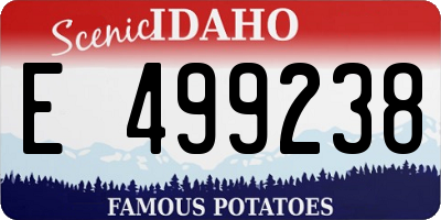 ID license plate E499238