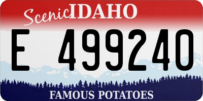 ID license plate E499240