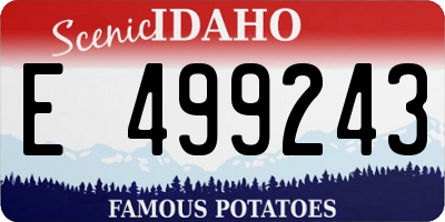 ID license plate E499243