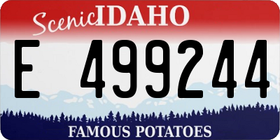 ID license plate E499244