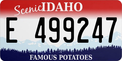 ID license plate E499247